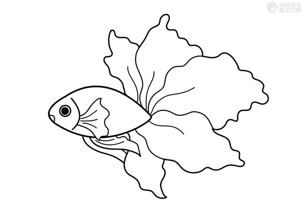 tranh tô màu con cá 7