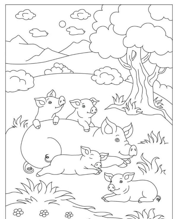tranh tô màu con lợn 5