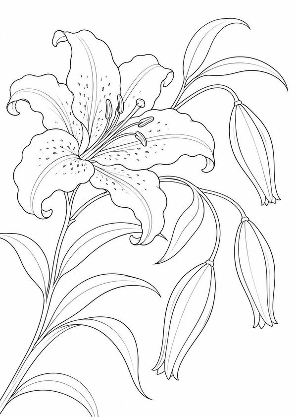 tranh tô màu hoa ly 8