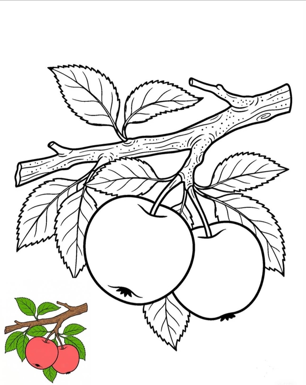 tranh tô màu trái cây 14